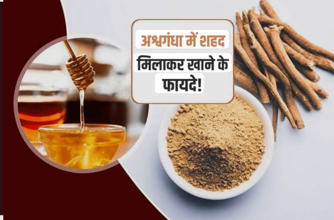 प्राकृतिक चिकित्सा में सदियों से भरोसेमंद, जाने अश्वगंधा और शहद के कई फायदे