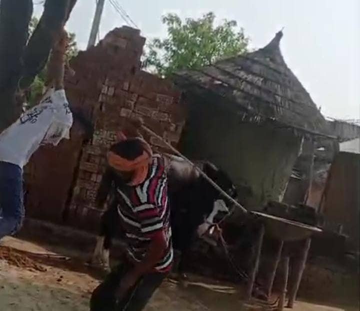 चाचा थोड़ा पानी पिला दो.....रहम की भीख मांगता रहा युवक, लेकिन जानवरों की तरह पीटते रहे ठेकेदार,देखें वीडियो