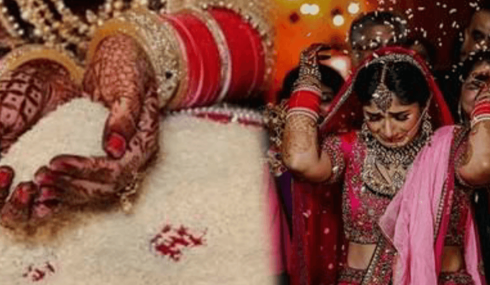 विदाई के समय पीछे  चावल और लावा क्यों फेंकती है दुल्हन,पढ़े कैसे अन्न के दानों से जुड़ी है विदाई की परंपरा