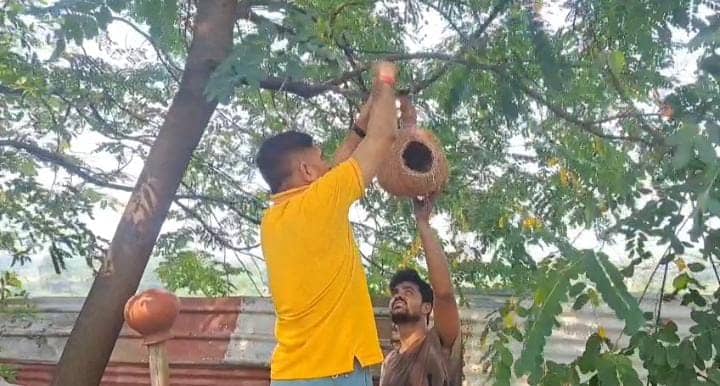 50 हज़ार बेज़ुबान परिंदो के लिए कौन बनवा रहा आशियाना! इस आदमी के पागलपन को क्या कहेंगे आप