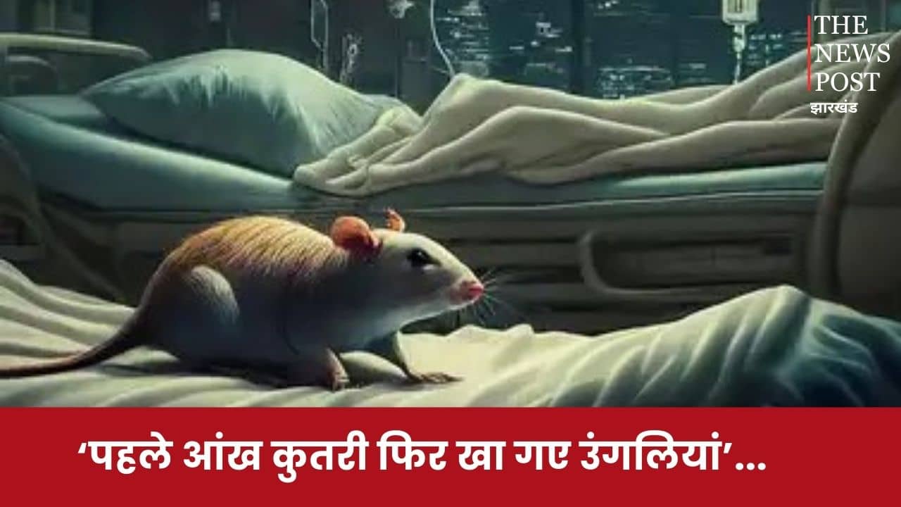 ‘पहले आंख कुतरा फिर खा गए उंगलियां’...पटना के अस्पताल में चूहों का खौफनाक आतंक