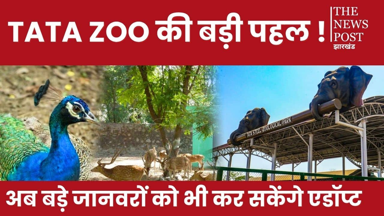 अरे वाह! टाटा जू के जानवरों को गोद ले सकेंगे शहरवासी, इन सुविधाओं का मिलेगा लाभ
