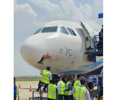 120 यात्रियों की हवा में अटकी जान, रांची में हुई फ्लाइट की आपातकालीन लैंडिंग