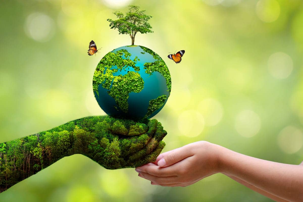 World Environment Day: अभी भी चेत जाएं झारखंड में बहुत कुछ बाकी है, फिर पछताएंगे....