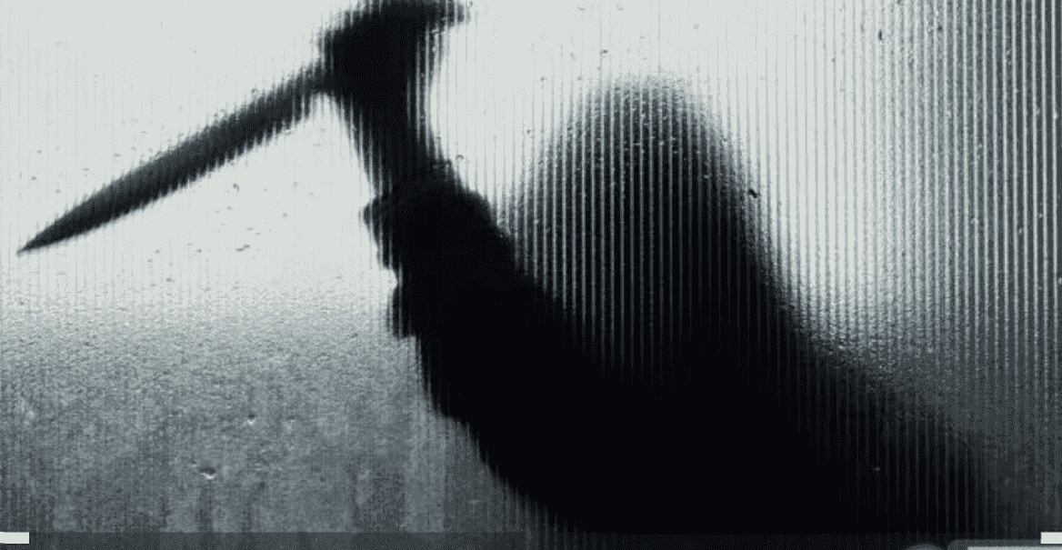 गिरिडीह में खूनी खेल! पत्नी को चाकू मारने वाले पति को परिजनों ने पीट-पीटकर मार डाला