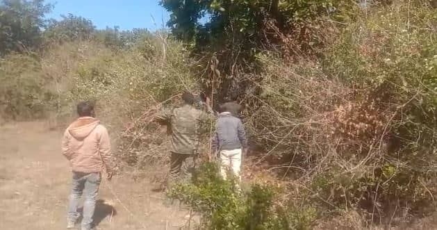 युवक का शव जंगल में पेड़ से लटका मिला , पुलिस ने शव को कब्जे में कर पोस्टमार्टम के लिए भेजा