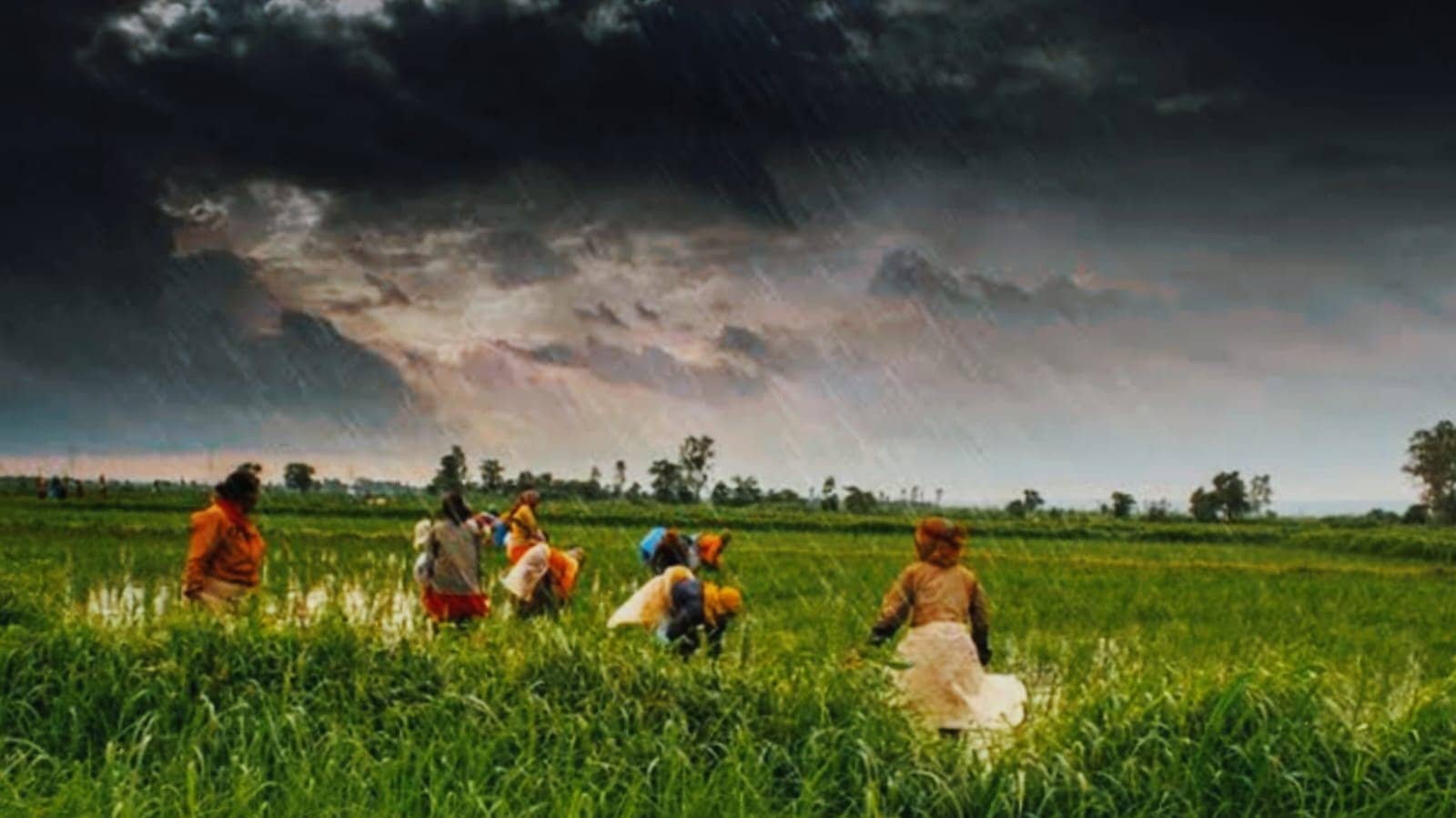 कहर बनकर बरसेगा मानसून, 2 दिन में किसान कर लें ये जरूरी काम, नहीं तो फसल हो सकती है बर्बाद