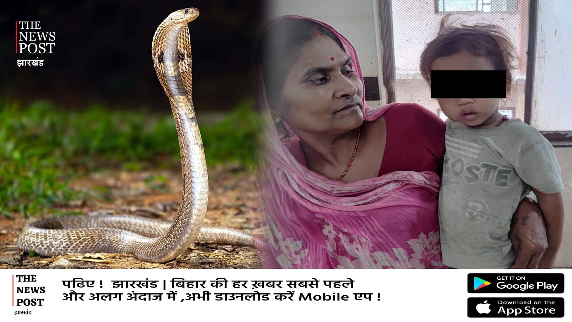 एक साल के बच्चे ने खेल-खेल में कोबरा सांप को काटा, मौके पर सांप की मौत, बच्चा खतरे से बाहर, जानिए पूरी खबर 