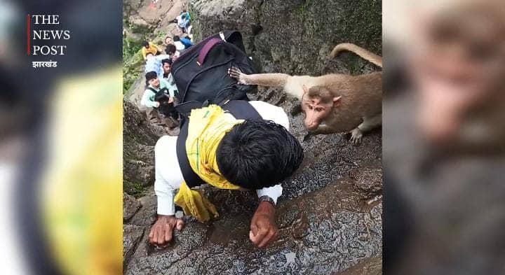 बंदर को चिढ़ाना इस युवक को पड़ा भारी,पहाड़ पर बंदर ने लगाई ऐसी क्लास की थम गई सांसे, देखें-VIRAL VIDEO