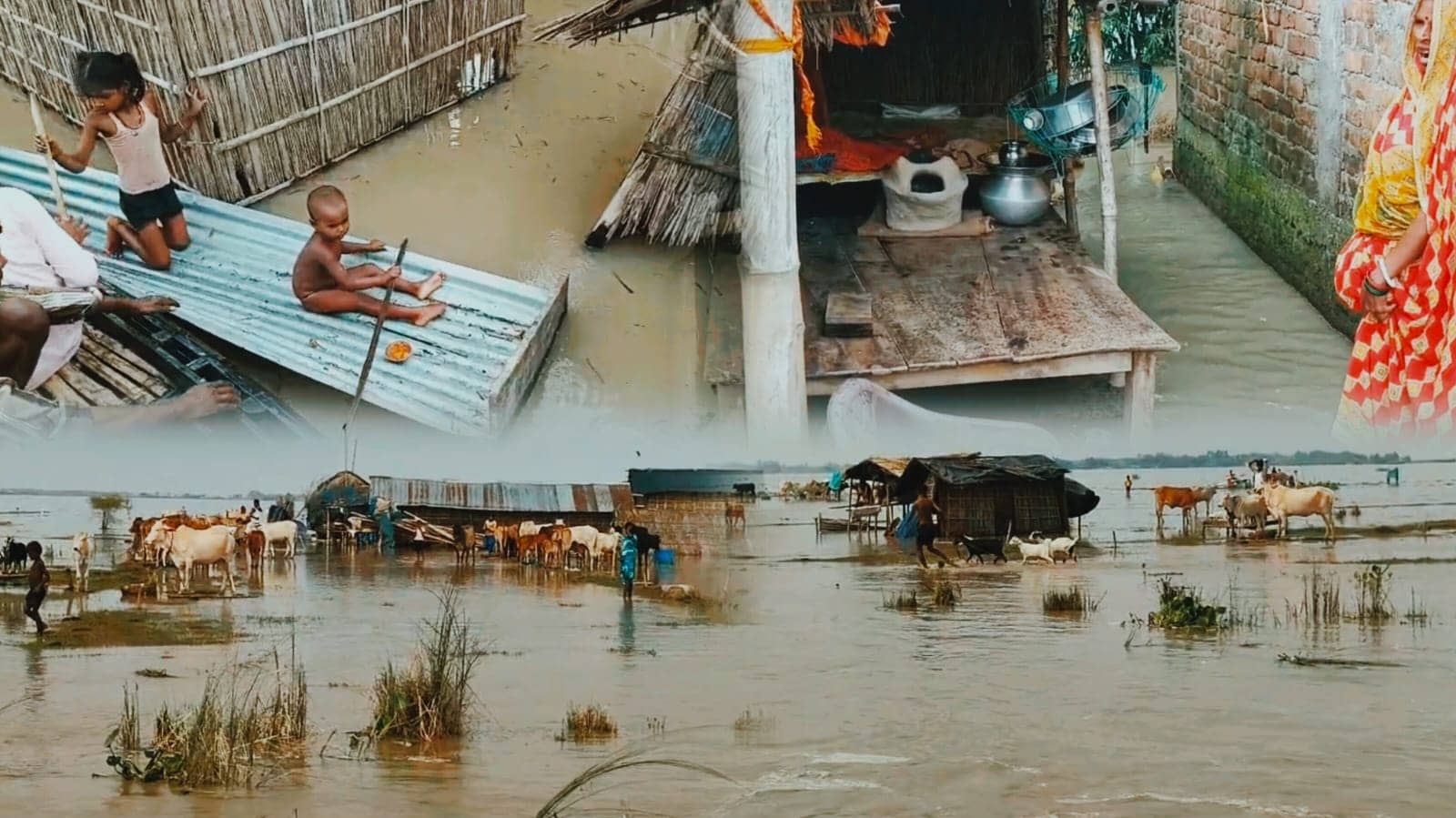 उफनती गंगा का कहर: तेज धारा के बीच फंसा ये गाँव, जहां मौत के साये के बीच कट रही है लोगों की जिंदगी