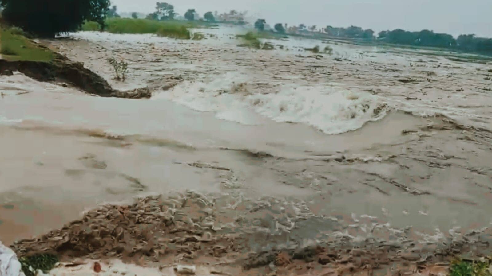 भागलपुर में कोसी का कहर: नवगछिया जमींदारी बांध टूटा, साधुपुर, बनिया भवानीपुर, नवगछिया समेत कई गांव डूबने की कगार पर