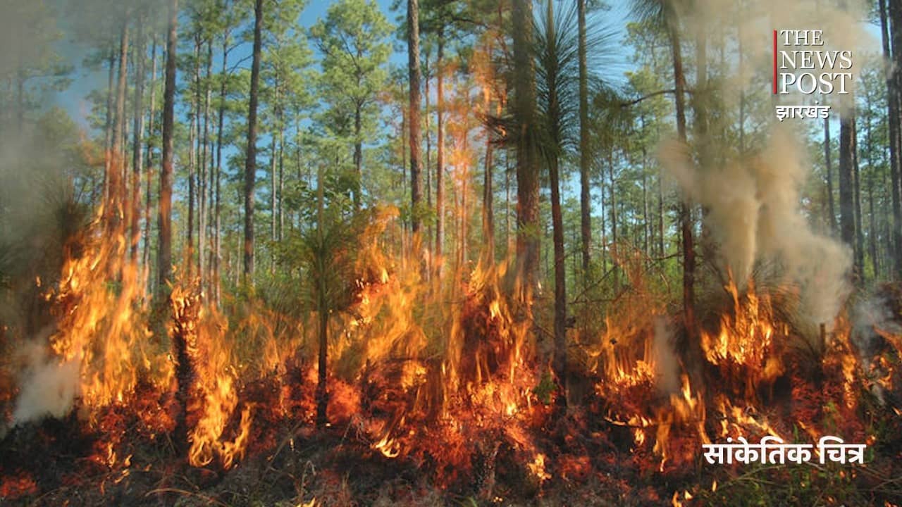 BIG BREAKING : जंगल में आईडी ब्लास्ट, एक घायल !