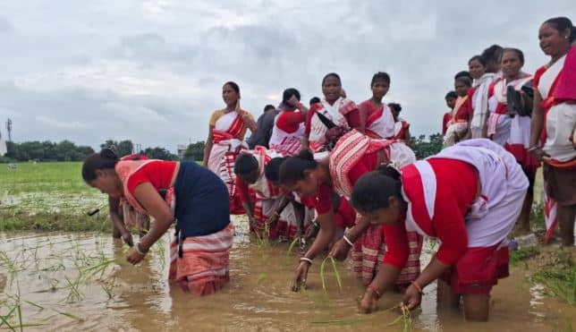 ‘धनवा तो रोपो ना यार’ के साथ आदिवासियों ने किया RIMS-2 की जमीन पर धान रोपनी