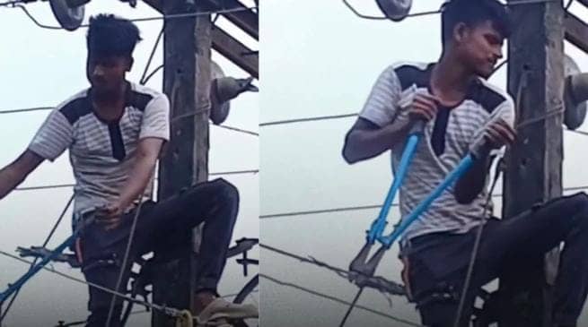 वाह भाई! गर्लफ्रेंड का फोन आया बिजी, तो आग बबूला हुआ बॉयफ्रेंड,फिर पोल पर चढ़कर कर दिया ये कारनामा, देखिए-VIRAL VIDEO