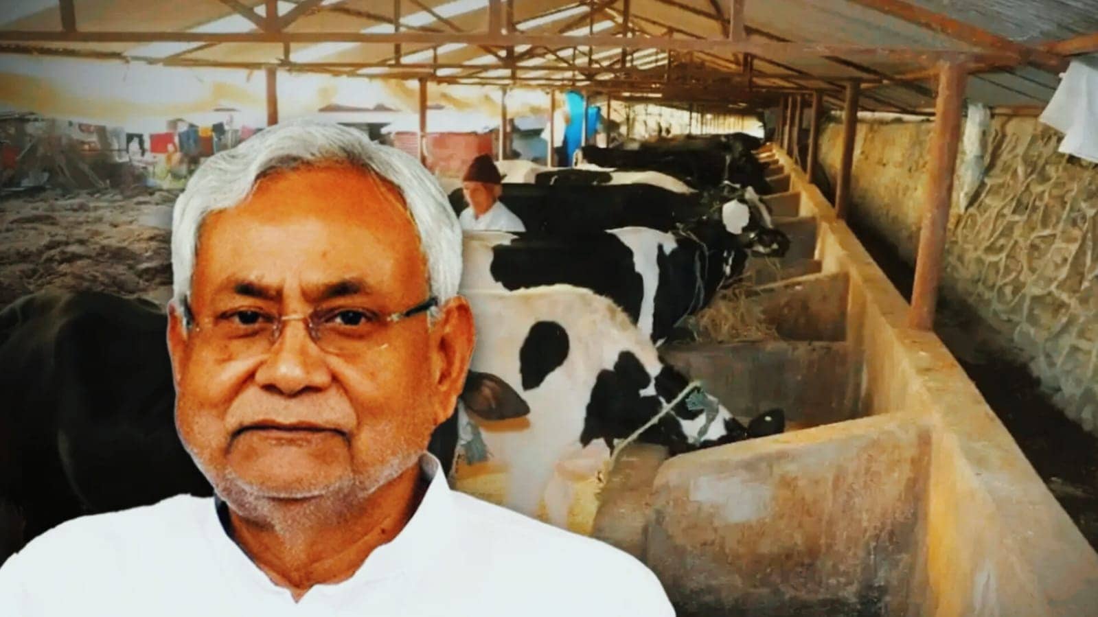 पशुपालन से जुड़े व्यवसाय में नीतीश सरकार का बड़ा योगदान, 75% तक मिल रहा अनुदान