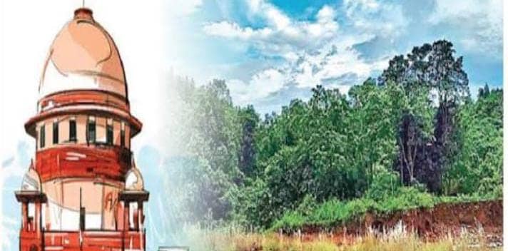 नक्सलियों का सबसे बड़ा गढ़ सारंडा बनेगा पशु पक्षियों का ठिकाना, जल्द सरकार करेगी वन्यजीव अभ्यारण्य घोषित 