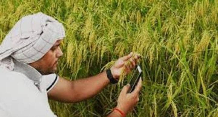 डिजिटल कृषि निदेशालय का गठन होने से किसानों की बढ़ेगी आय,अब रियल-टाइम में कृषि योजनाओं का पहुंचेगा लाभ