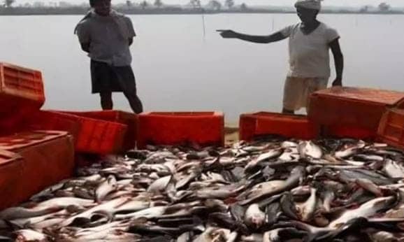 मछुआरों को नाव और जाल खरीदने के लिए अनुदान दे रही है बिहार सरकार, लागत का 90 प्रतिशत तक मिलेगा पैसे