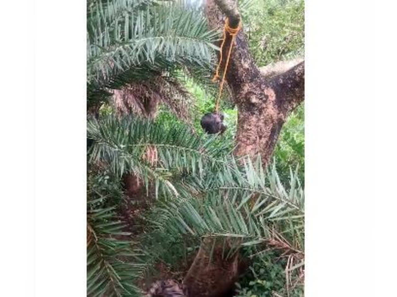 Dumka Update: सर कटे शव की हुई पहचान, परतापुर गांव का था मृतक