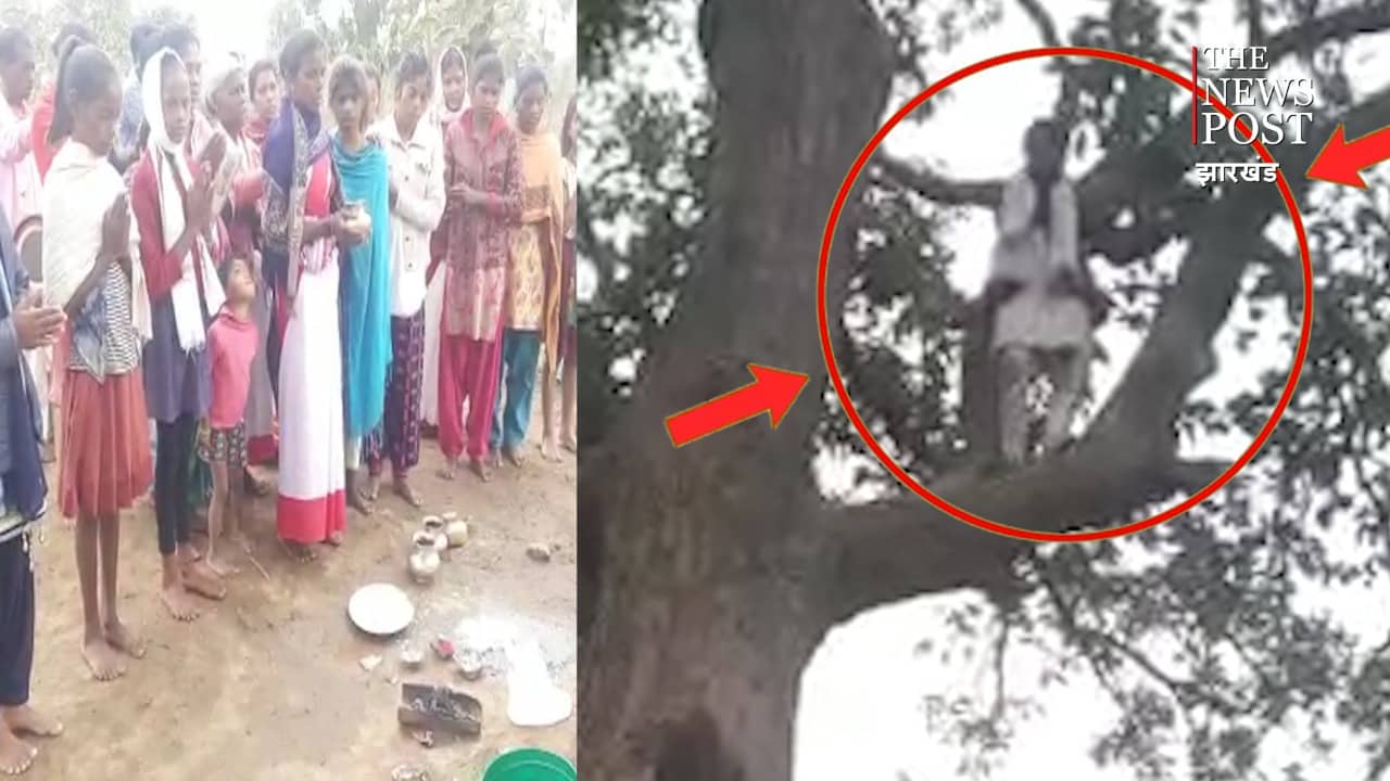 सात दिनों से मुंह में पानी तक नहीं डाला, साल के विशाल पेड़ पर खड़ी है यह युवती