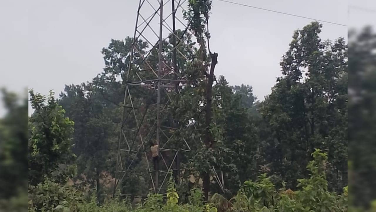 गिरिडीह: पीरटांड में 33 हजार वोल्ट के टावर पर चढ़ा युवक, घंटों चला हाई वोल्टेज ड्रामा