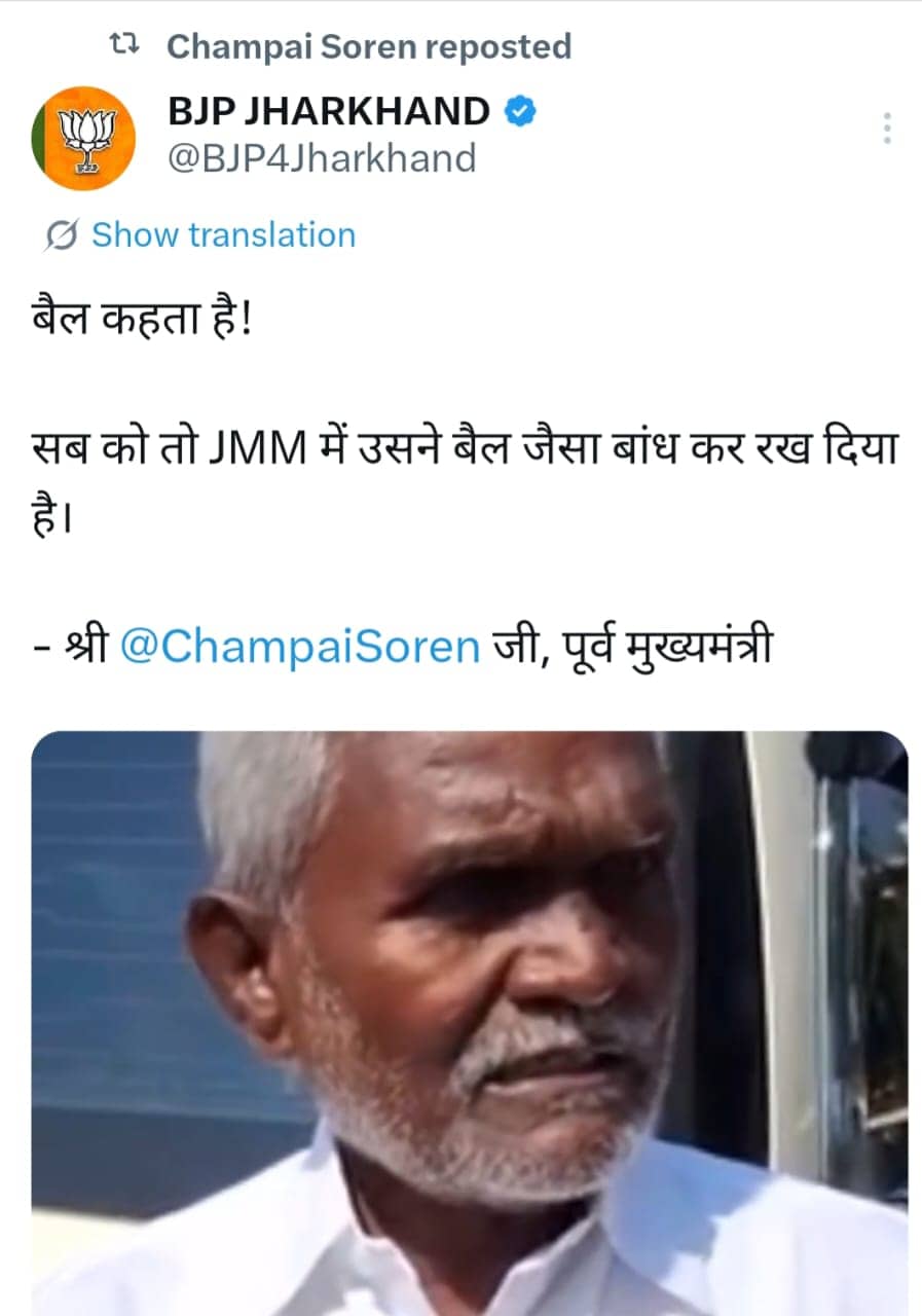 Jharkhand Politics: घाटशिला का "बैल" 14 के बाद क्यों घुमेगा पूरे झारखण्ड में, क्या बताएगा आदिवासियों को !