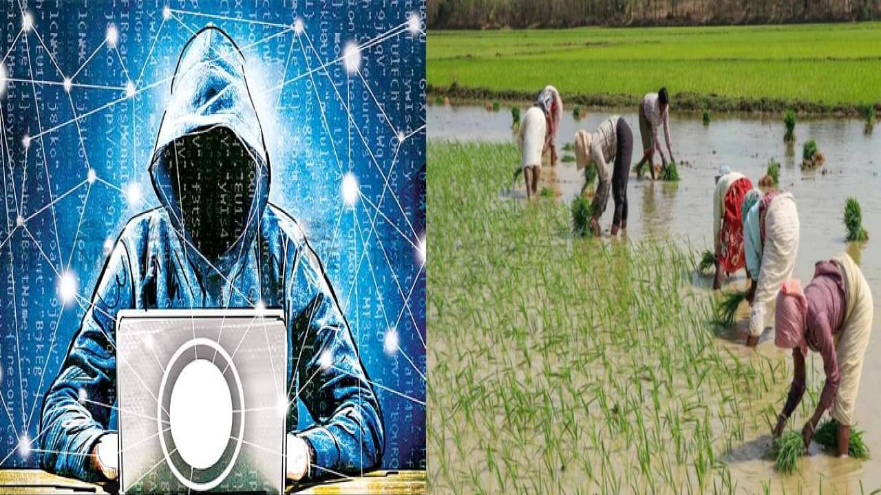 सावधान ! अब किसान हैं साइबर अपराधियों के निशाने, धान क्रय के नाम पर ठगी की कोशिश