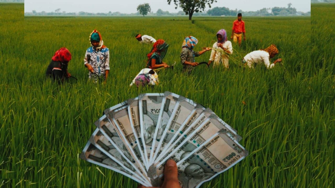 बड़ी खुशखबरी! किसानों को बिना जमीन गिरवी रखे मिल सकता है 2 लाख तक का लोन, Kisan Credit Card से मिलेगा बड़ा फायदा
