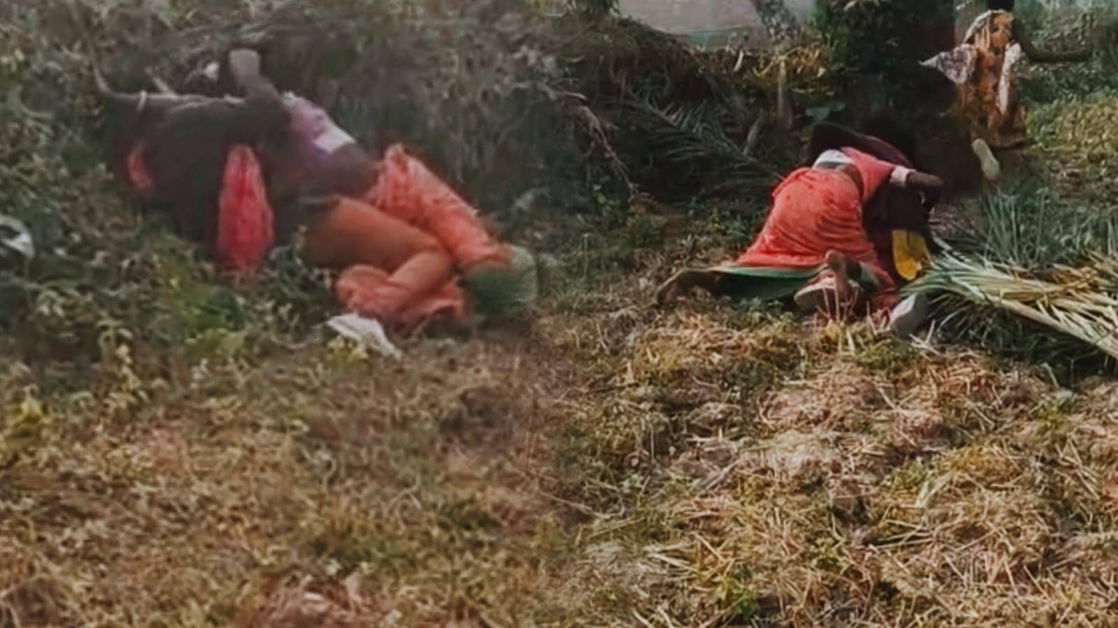 सरकारी स्कूल की मास्टरनी और आदिवासी महिला के बीच अचानक हो गई पटका पटकी, वायरल हुआ वीडियो