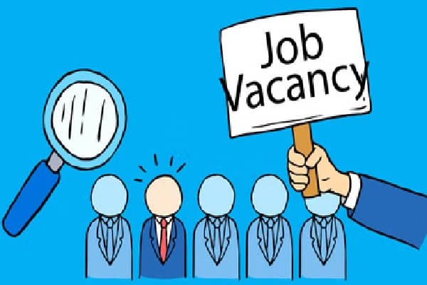 NCERT Recruitment 2025: ग्रेजुएट्स पास के लिए सरकारी नौकरी का मौका NCERT ने 173 पदों पर निकाली भर्ती