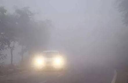 Weather Alert:झारखंड में सर्द हवाओं और कोहरे ने पकड़ी रफ्तार, रांची के इन इलाकों में जमने लगी है बर्फ़