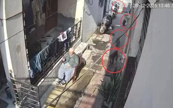 OMG! घर के नीचे बैठकर धूप सेक रही थी महिला तभी बंदरों ने मचा दिया उत्पात, देखिए-VIDEO