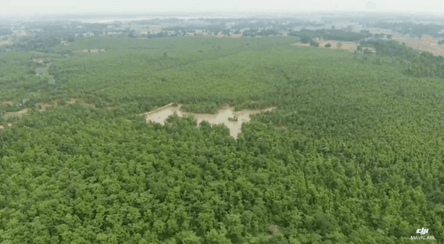 जल्द ही झारखंड के गुमला जिला में दिखेगा मिनी शिमला का स्वरूप