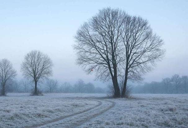 Weather Alert:शीतलहरी की चपेट में झारखंड! लोगों का घर से निकलना मुश्किल, पढ़े सक्रांति पर मौसम का हाल