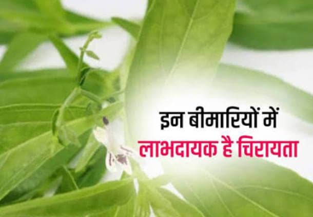 खून को फिल्टर करता है सड़क पर बिकनेवाला ये सस्ता जड़ी बूटी, इन गंभीर बिमारियों से भी मिलता है निजात