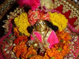 अगर जन्माष्टमी पर करेंगे ये उपाय तो खुल जाएगी आपकी किस्मत ,पढ़ें ये पूरी जानकारी 