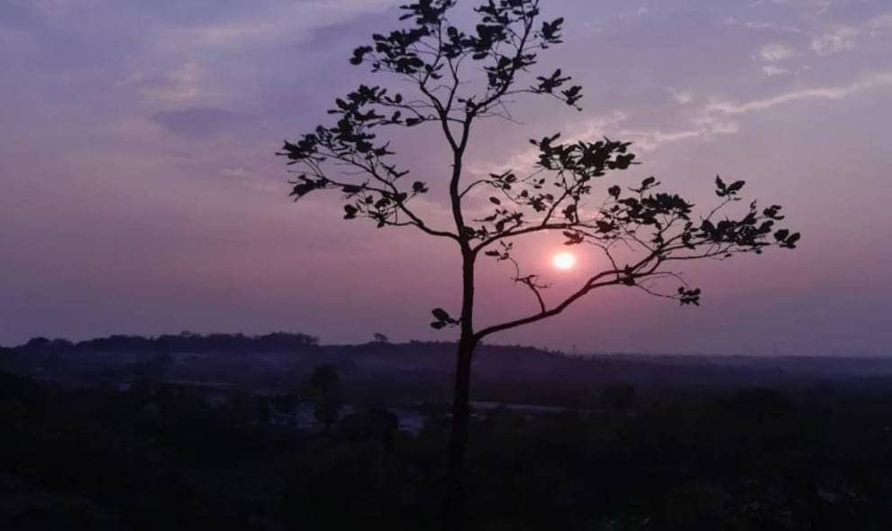 Weather Alert:29 जनवरी से फिर बदल जाएगा झारखंड का मौसम, इन जिलों में बारिश की संभावना, पढ़े आज का हाल