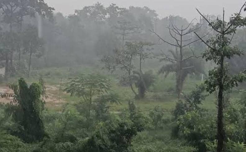 Weather Alert: 6 फरवरी के बाद एक बार फिर करवट लेगा झारखंड का मौसम, दो से तीन डिग्री गिरेगा पारा, बढ़ेगी ठंड
