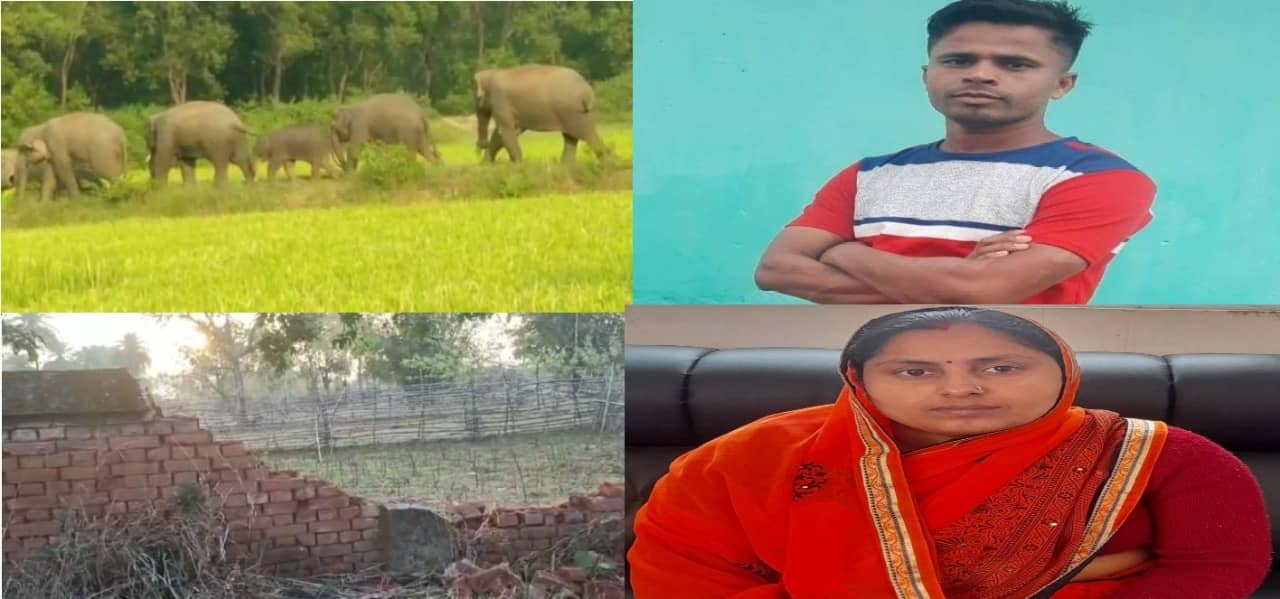 हाथियों के कारण टुंडी के किसानों को  माड़ - भात  पर भी आफत !