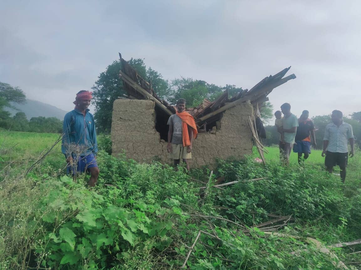 लोहरदगा में हाथियों के उत्पात से  परेशान हैं किसान,  वन विभाग से नहीं मिल रही कोई मदद