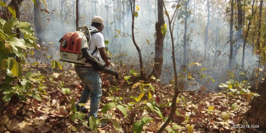 कब थमेगी जंगल की आग? वनकर्मी कर रहे लोगों से आग ना लगाने की अपील