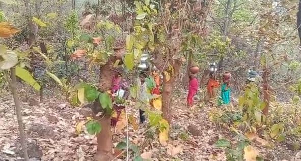 सोते-जागते हर समय पानी के बूंद-बूंद के लिए तरस रहे आदिवासी, प्रदूषित पानी पी कर हो रहे बीमार