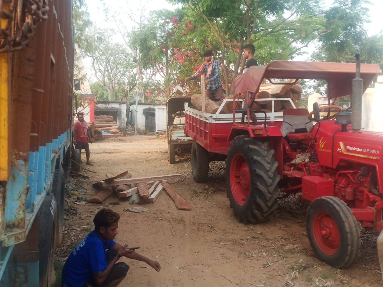 जंगल में छुपा कर रखे गए 59 लकड़ी का बोटा बरामद, तस्कर भागने में सफल