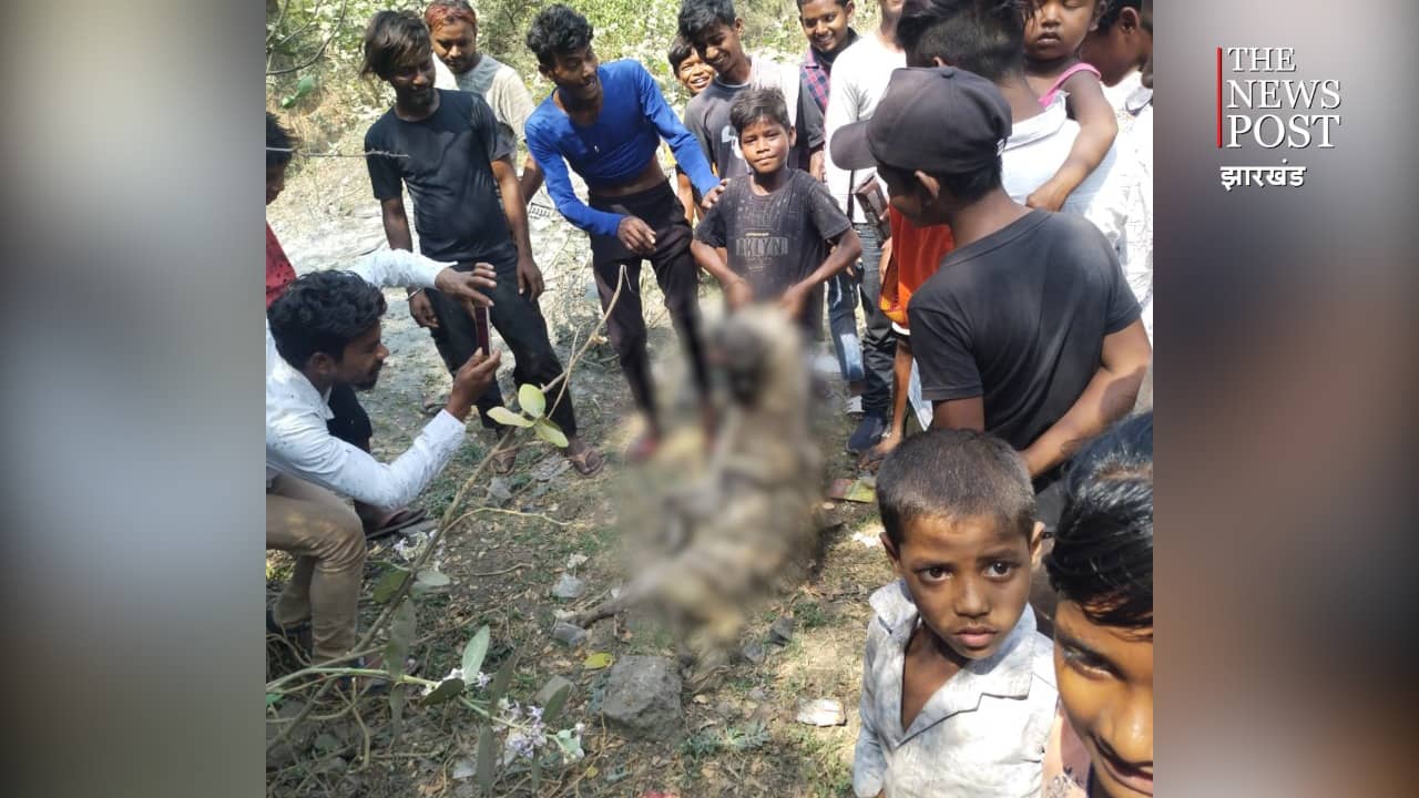 लौह नगरी में दहशत का अंत : वन विभाग झुठला रहा था, पर मौत के बाद सामने आयी सच्चाई,  क्या है मामला, पढ़िए पूरी खबर