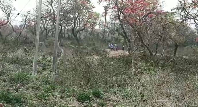 6 बीघा सरकारी जमीन पर दबंगों ने किया अवैध कब्जा, आयुक्त से जांच की मांग