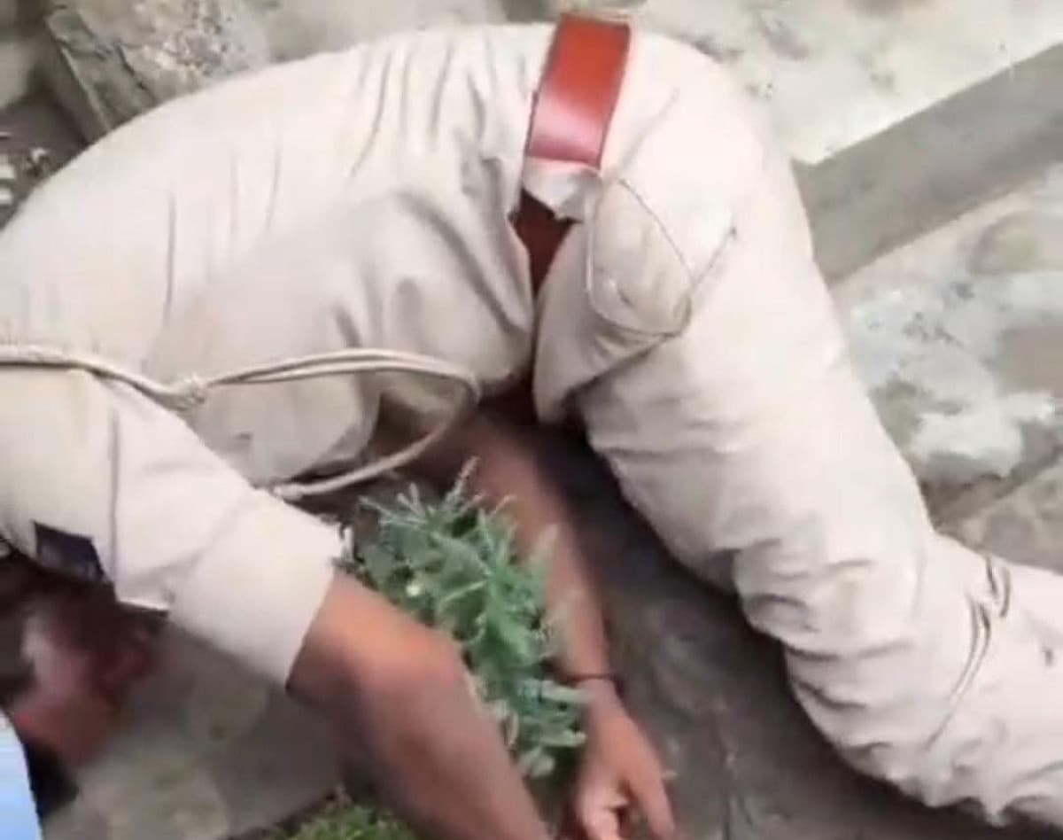 तुम पियो तो गंगाजल...! नशे में धुत सड़क किनारे पड़ा मिला पुलिस जवान, VIDEO ने खड़े किए कई सवाल
