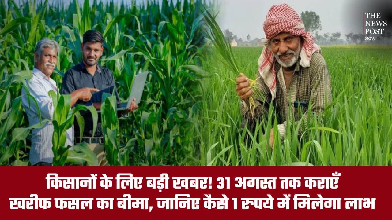 किसानों के लिए बड़ी खबर! 31 अगस्त तक काराएं खरीफ फसल का बीमा, जानिए कैसे 1 रुपये में मिलेगा लाभ