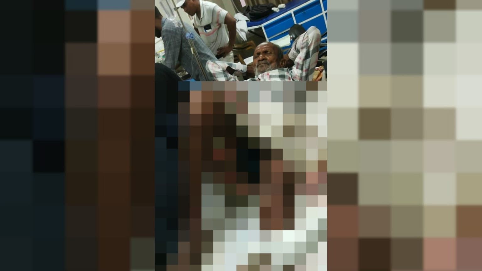 सरायकेला में भालू का हमला, 80 वर्षीय बुजुर्ग घायल, वन विभाग ने शुरू की तलाश