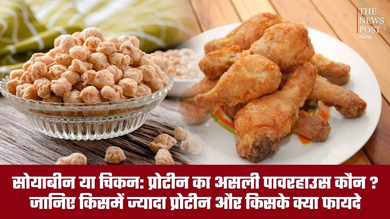 सोयाबीन या चिकन: प्रोटीन का असली पावरहाउस कौन? जानिए किसके क्या हैं फायदे