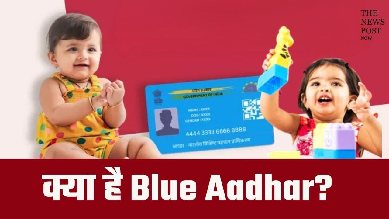 क्या है Blue Aadhaar? कौन करता है इसका इस्तेमाल, जानिए डाउनलोड करने का आसान तरीका